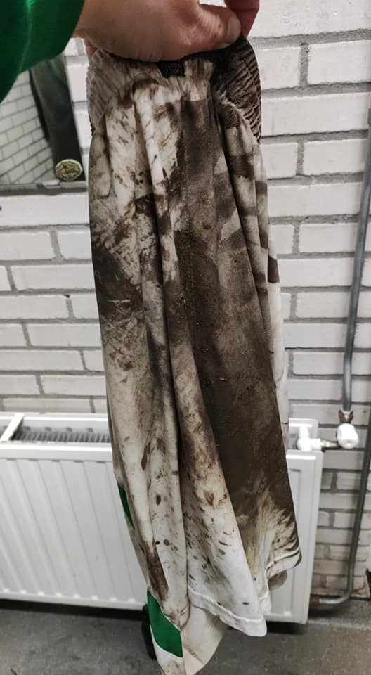 260786935 308046631322785 2245770446896600919 n