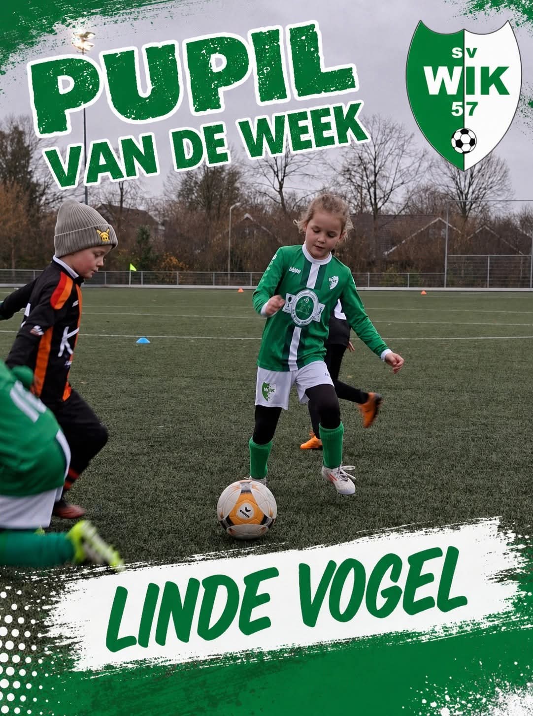 Pupil Linde Vogel